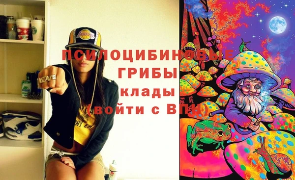 хмурый Струнино