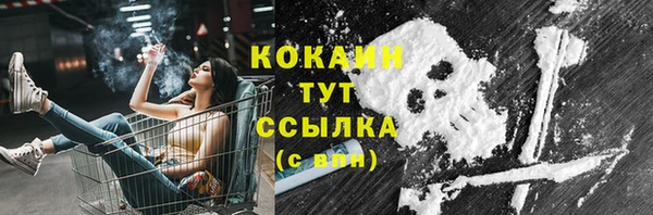 спайс Арсеньев